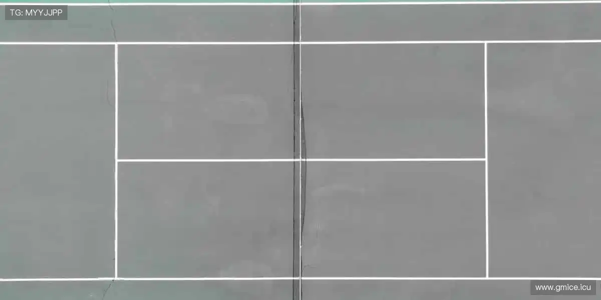 📺直击赛事现场,零时差享受热血对决!🎯